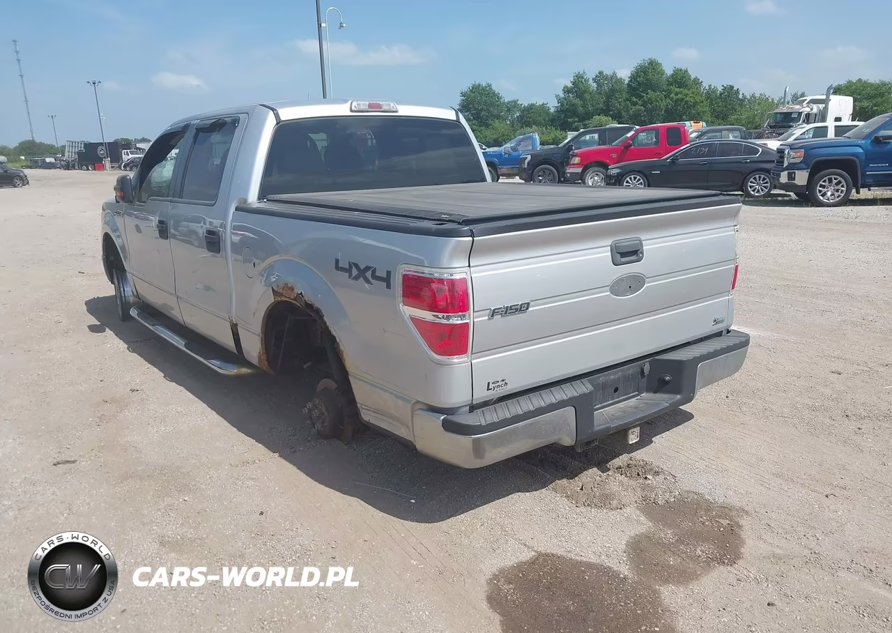 2010 Ford F-150 Fx4-Harley-Davidson-King Ranch-Lariat-Platinum-Xl-Xlt VIN:1FTFW1EV8AFA68127 - 3