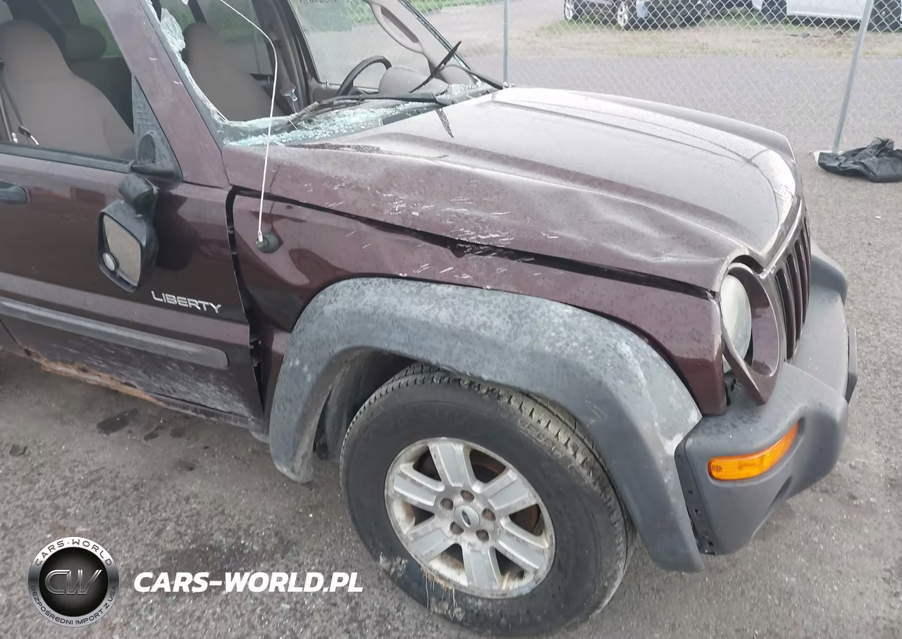 2004 Jeep Liberty Sport VIN:1J4GL48K64W135807 - 6