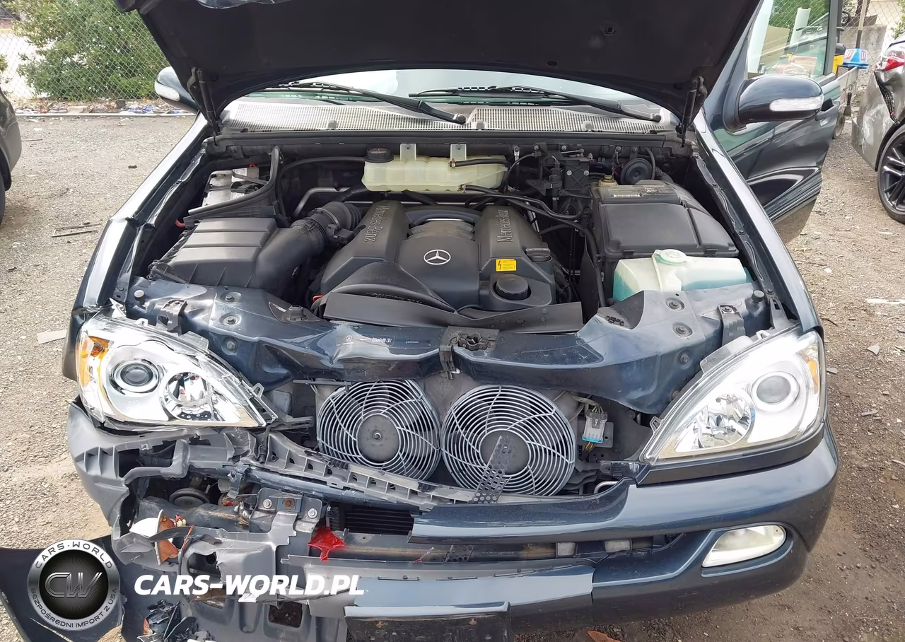 2003 Mercedes-Benz Ml 320 VIN:4JGAB54E03A387497 - 10
