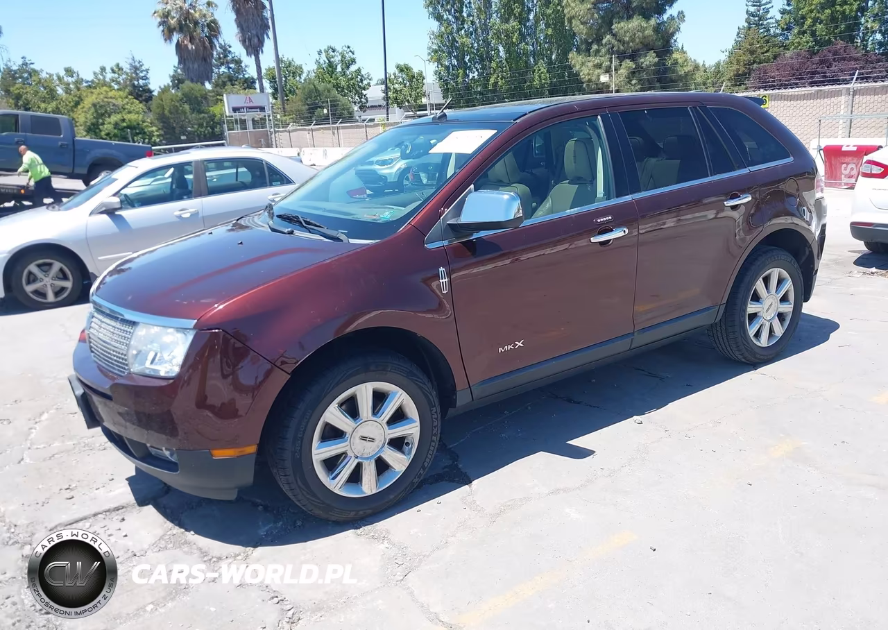 2009 Lincoln Mkx VIN:2LMDU88C69BJ12591 - 2