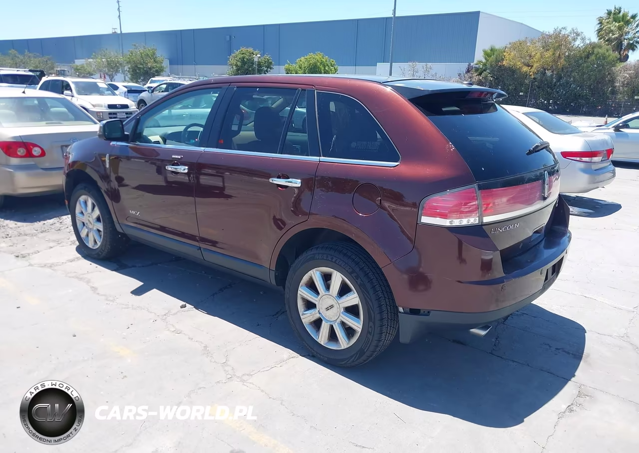 2009 Lincoln Mkx VIN:2LMDU88C69BJ12591 - 3