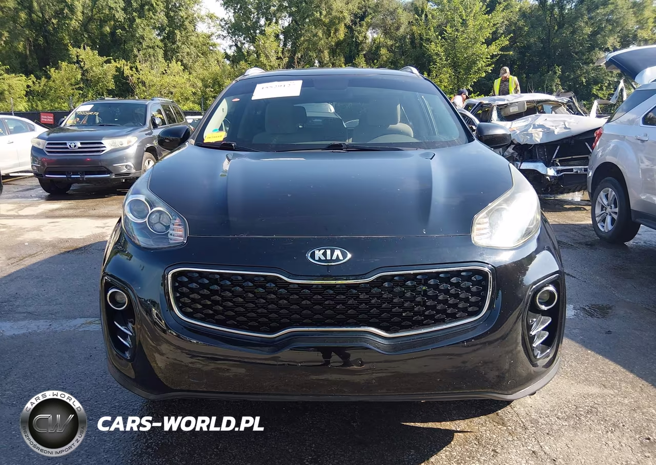 2019 Kia Sportage Lx VIN:KNDPMCAC3K7605203 - 12