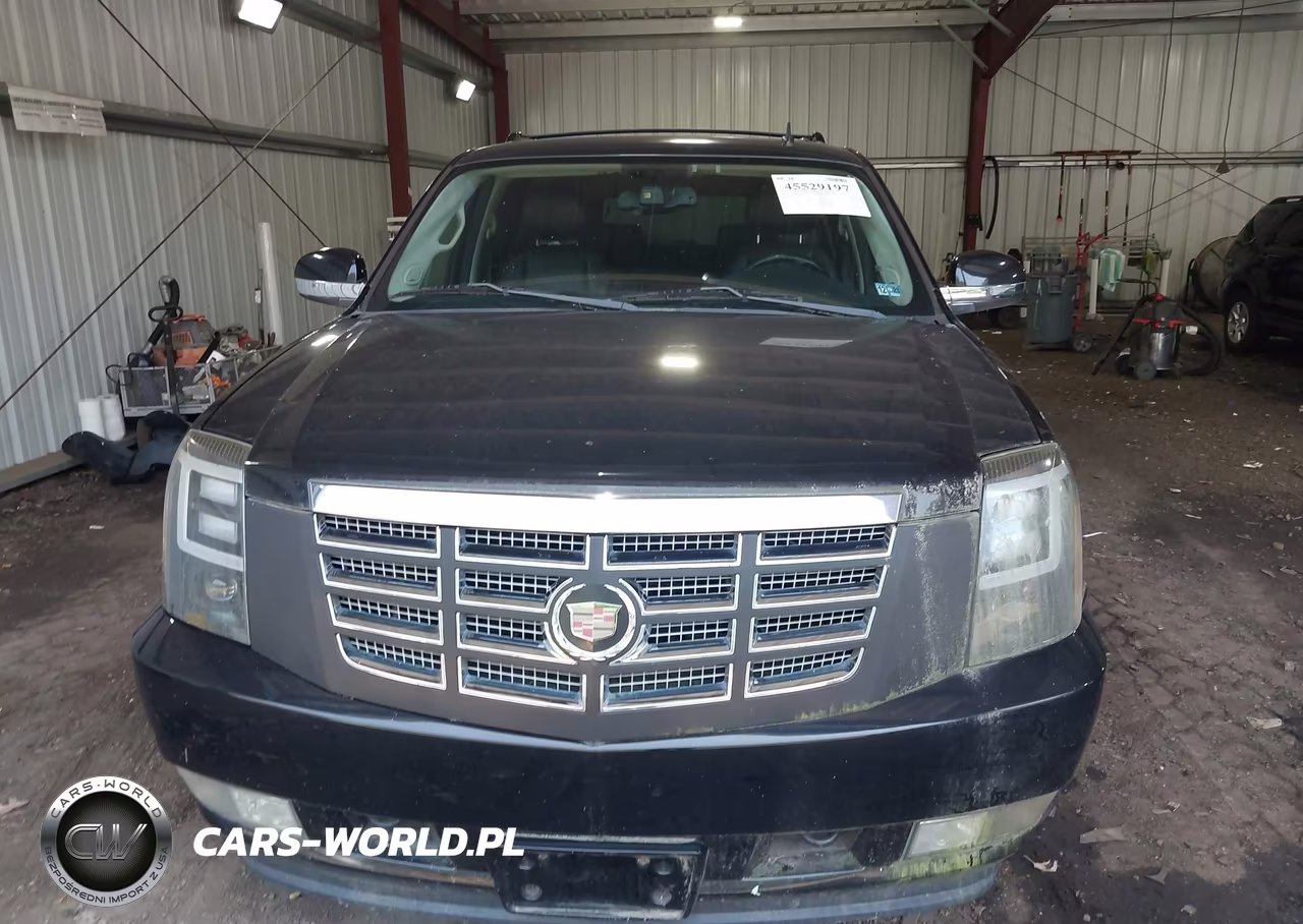 2009 Cadillac Escalade Esv Standard VIN:1GYFK26279R211823 - 12
