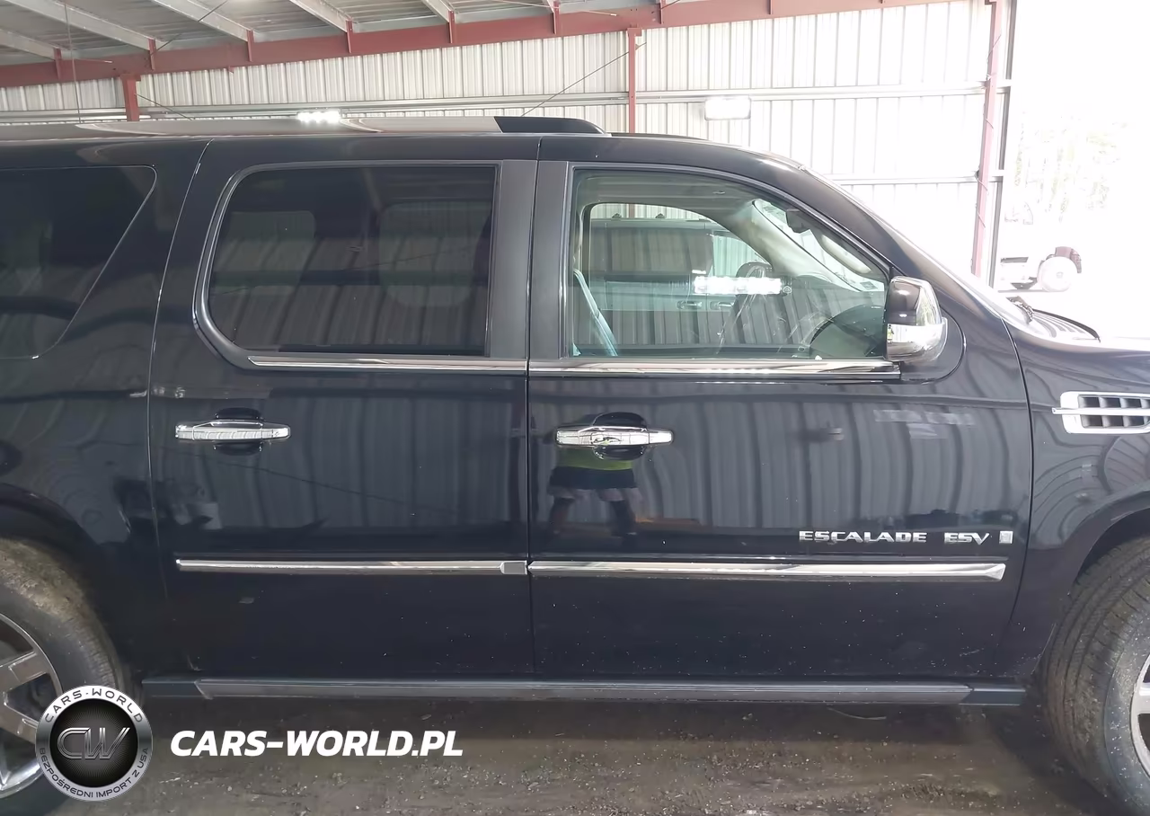 2009 Cadillac Escalade Esv Standard VIN:1GYFK26279R211823 - 13