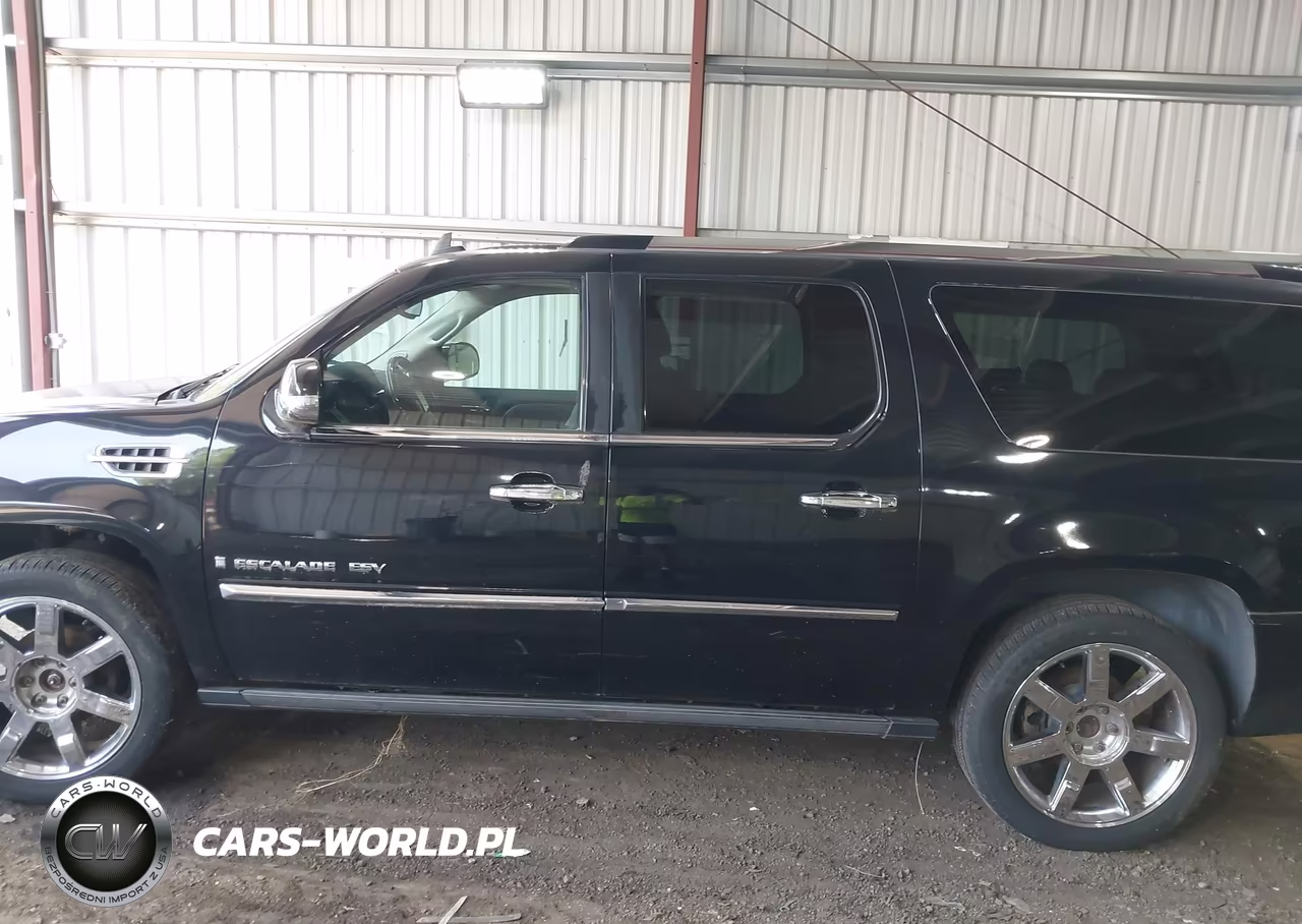 2009 Cadillac Escalade Esv Standard VIN:1GYFK26279R211823 - 14