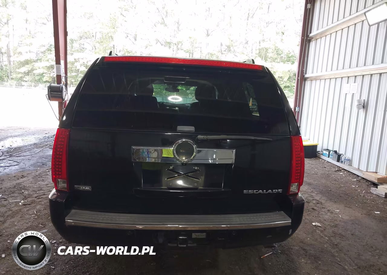 2009 Cadillac Escalade Esv Standard VIN:1GYFK26279R211823 - 16