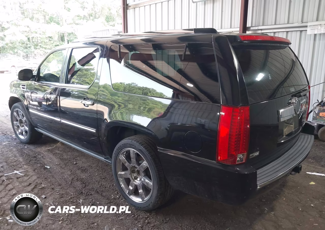2009 Cadillac Escalade Esv Standard VIN:1GYFK26279R211823 - 3
