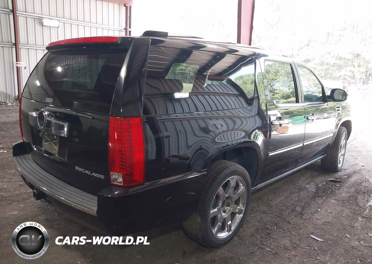 2009 Cadillac Escalade Esv Standard VIN:1GYFK26279R211823 - 4