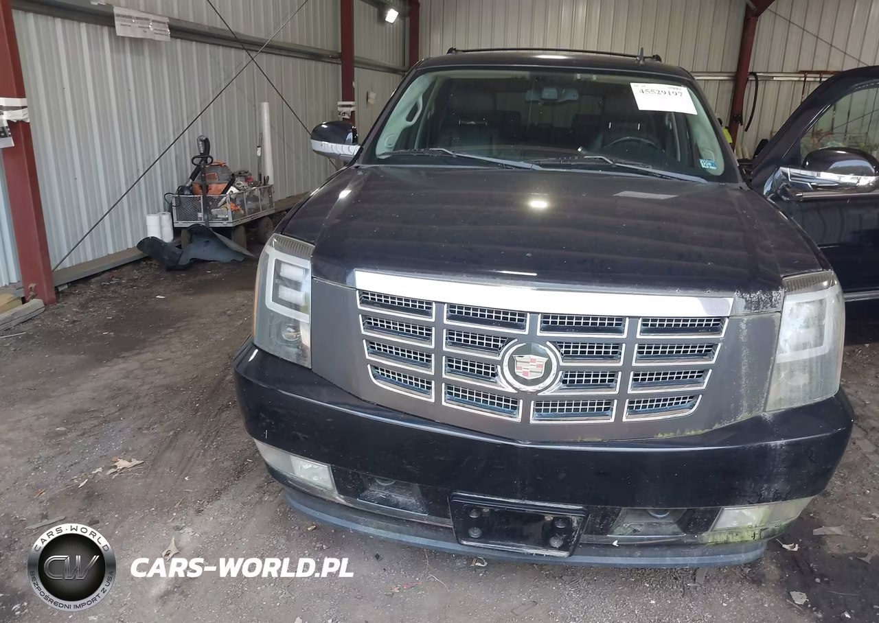 2009 Cadillac Escalade Esv Standard VIN:1GYFK26279R211823 - 6
