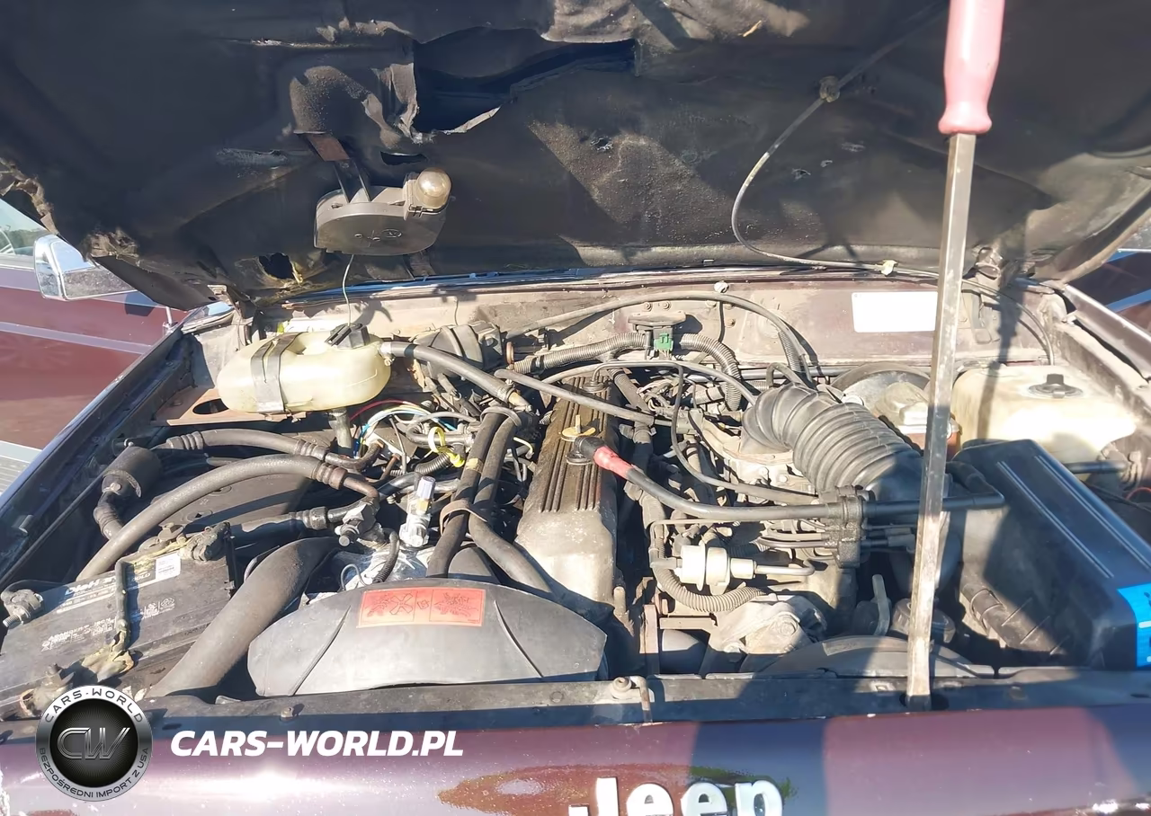 1989 Jeep Cherokee Laredo VIN:1J4FJ57LXKL596668 - 10