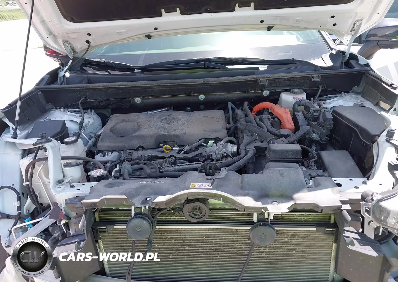 2024 Toyota Rav4 Hybrid Xse VIN:JTME6RFVXRJ054795 - 10