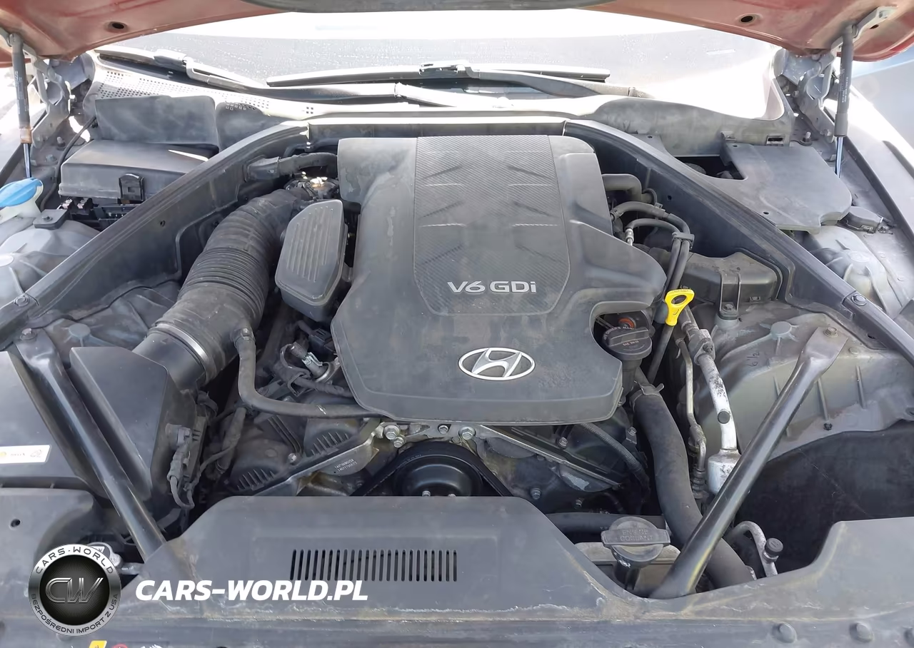 2015 Hyundai Genesis 3.8 VIN:KMHGN4JE3FU040118 - 10