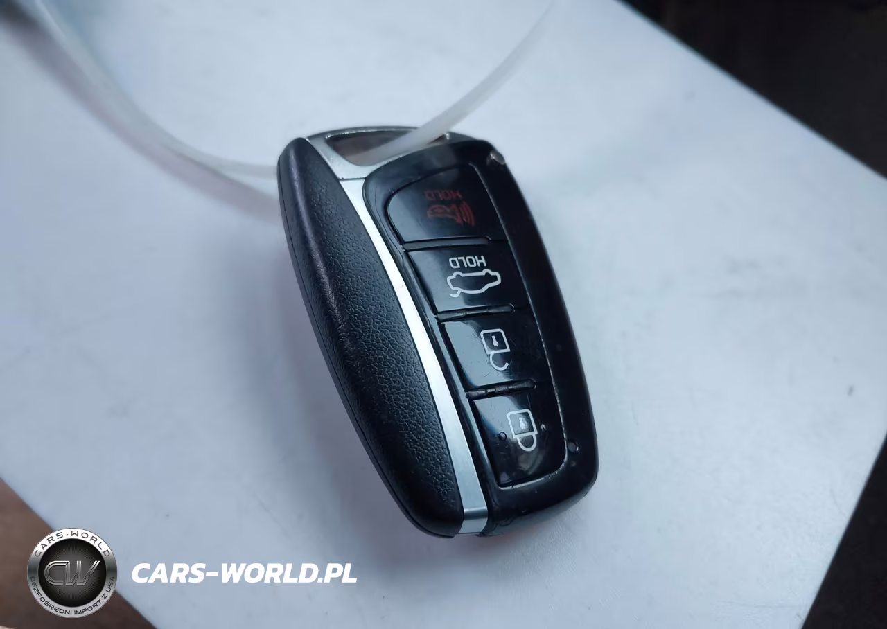 2015 Hyundai Genesis 3.8 VIN:KMHGN4JE3FU040118 - 11