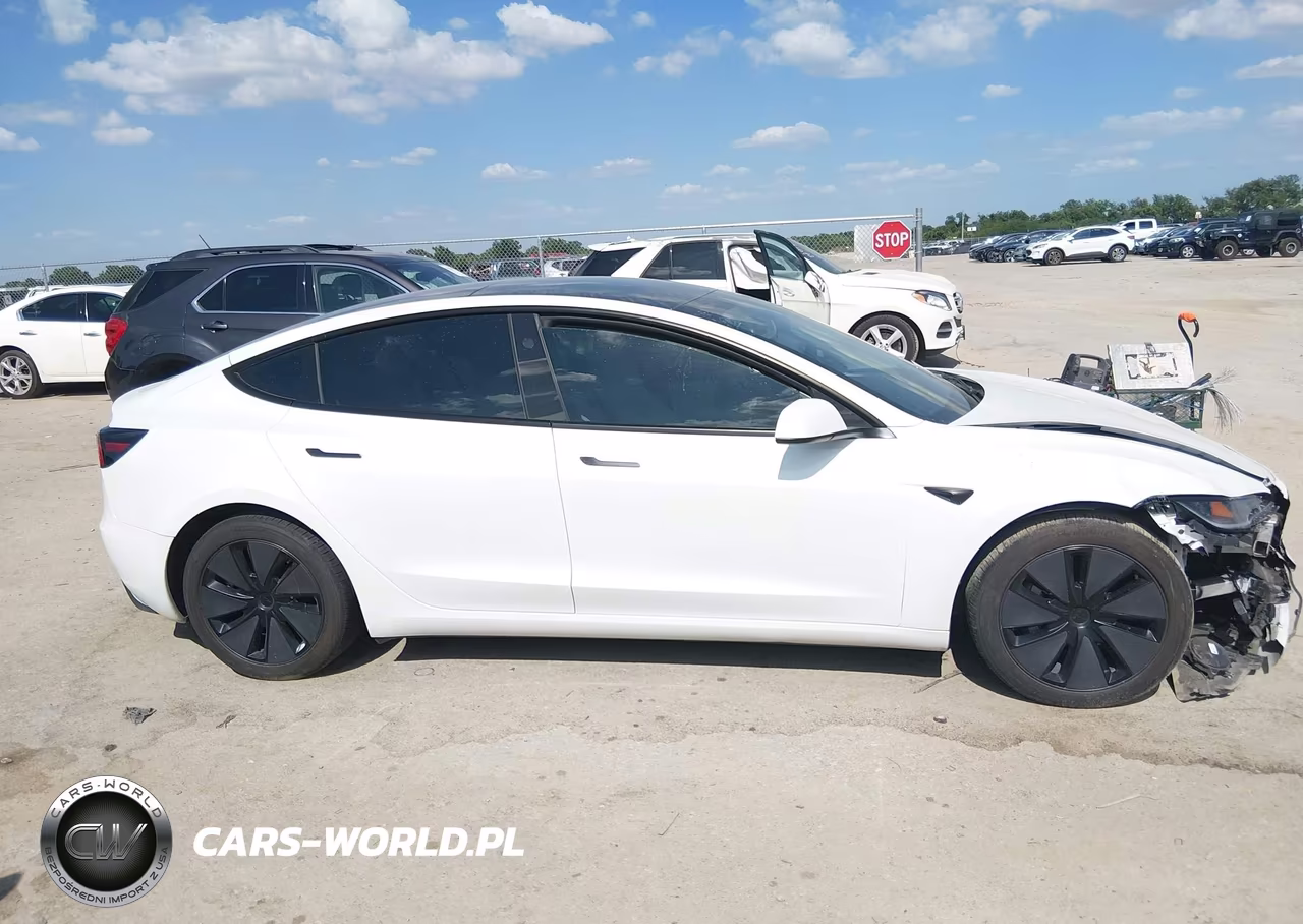 2025 Tesla Model 3 Long Range Rear-Wheel Drive-Standard Rear-Wheel Drive VIN:5YJ3E1EA9SF030768 - 12