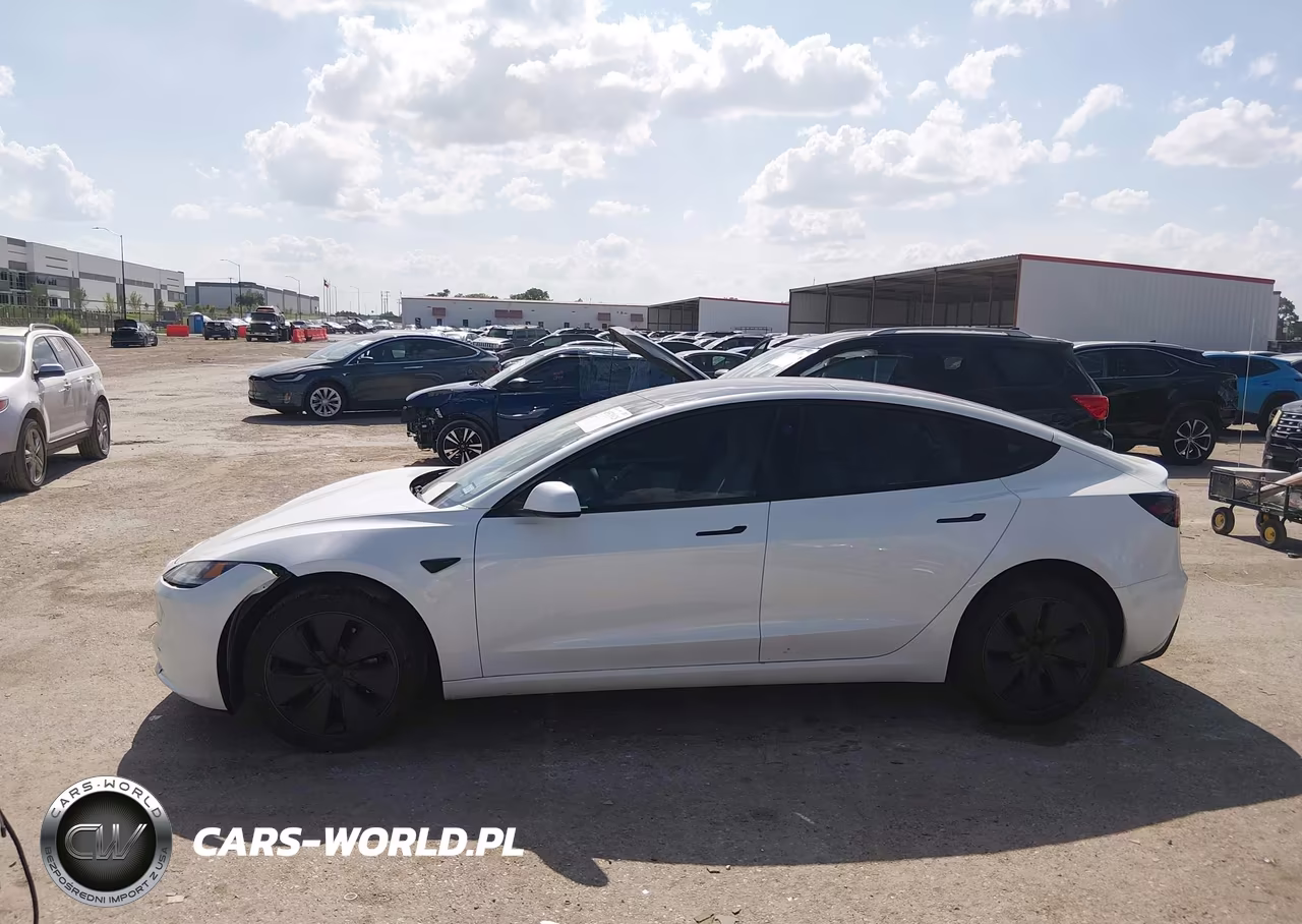 2025 Tesla Model 3 Long Range Rear-Wheel Drive-Standard Rear-Wheel Drive VIN:5YJ3E1EA9SF030768 - 13