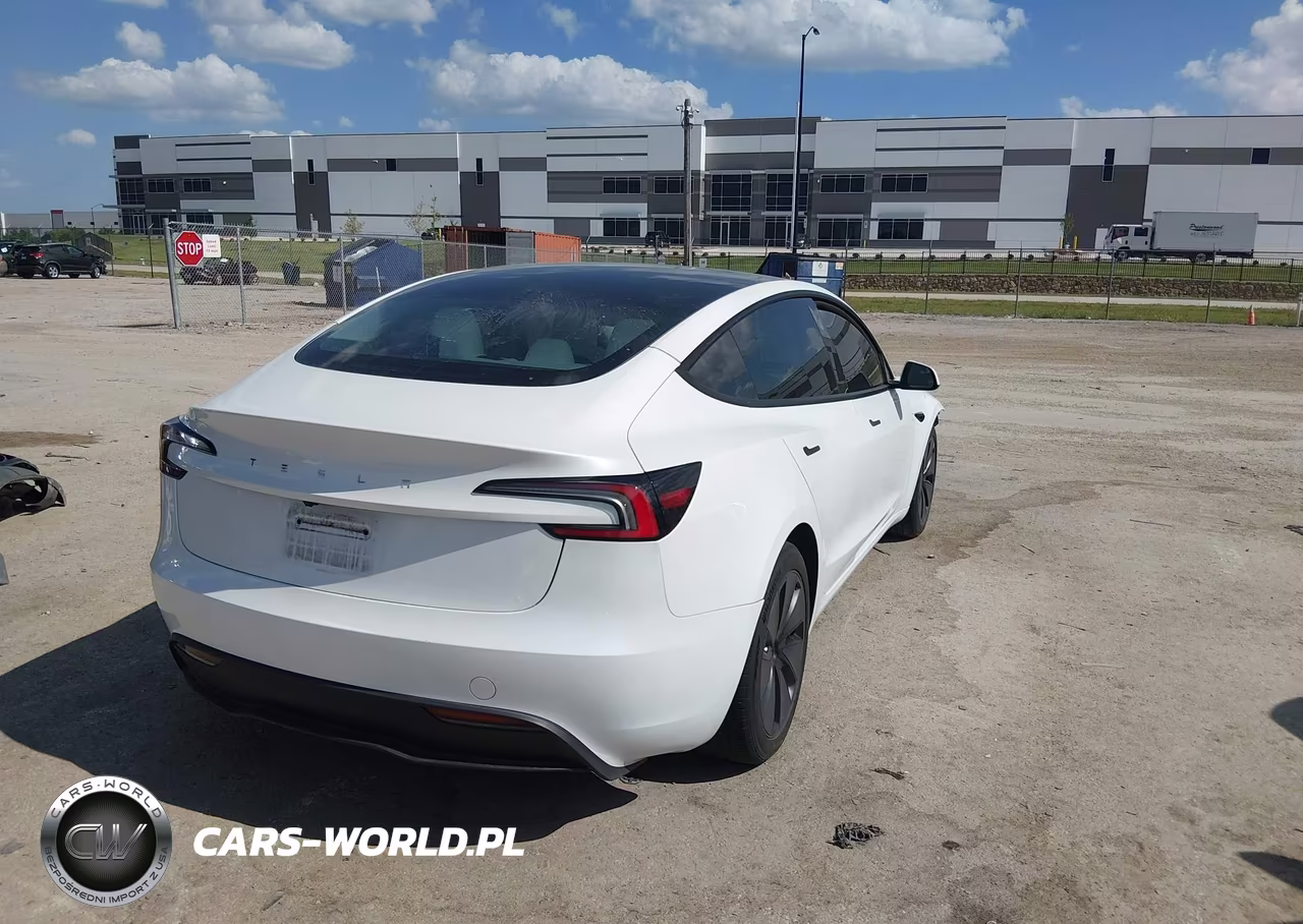 2025 Tesla Model 3 Long Range Rear-Wheel Drive-Standard Rear-Wheel Drive VIN:5YJ3E1EA9SF030768 - 4