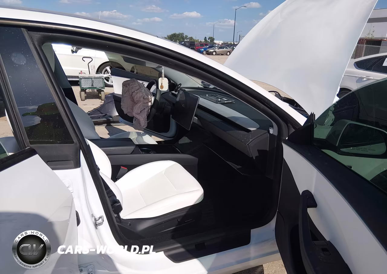 2025 Tesla Model 3 Long Range Rear-Wheel Drive-Standard Rear-Wheel Drive VIN:5YJ3E1EA9SF030768 - 5