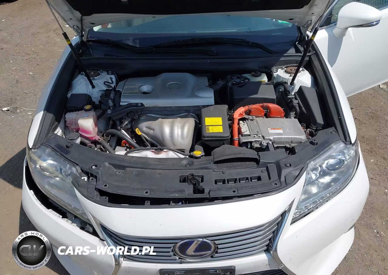 2014 Lexus Es 300H VIN:JTHBW1GG8E2055161 - 10