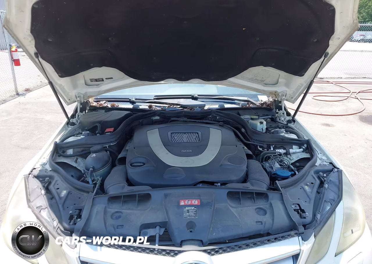 2010 Mercedes-Benz E 550 VIN:WDDKJ7CB8AF025289 - 10