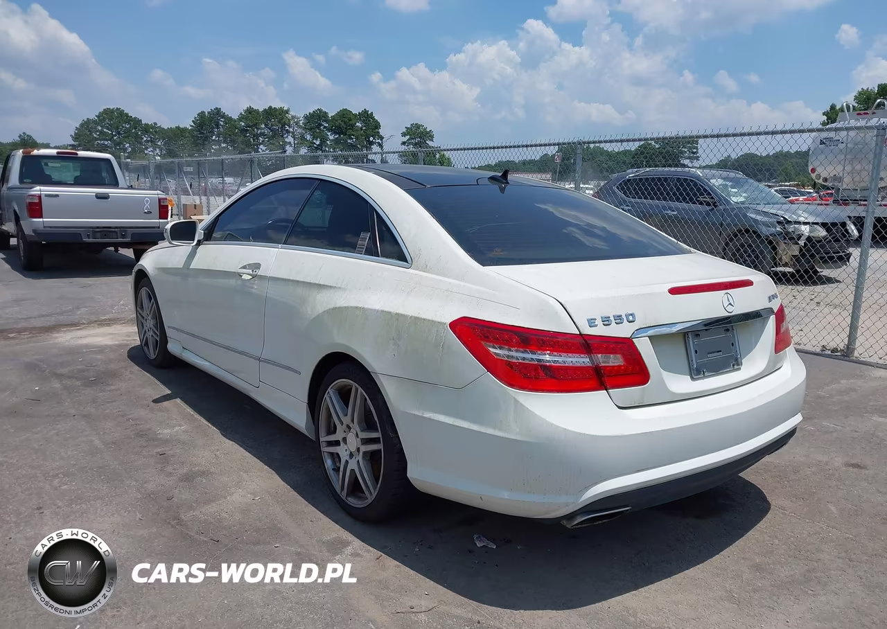 2010 Mercedes-Benz E 550 VIN:WDDKJ7CB8AF025289 - 3