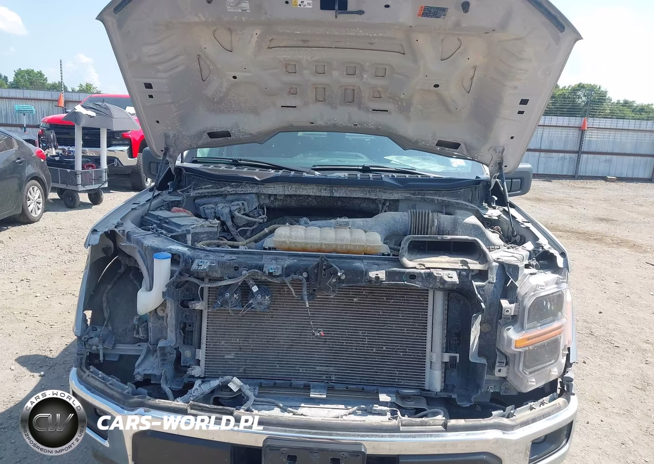 2025 Ford F-150 Xlt VIN:1FTEW3KP9SKE05832 - 10