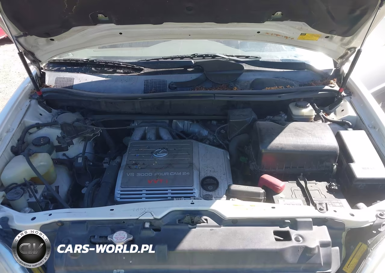 2002 Lexus Rx 300 VIN:JTJHF10U920256034 - 10