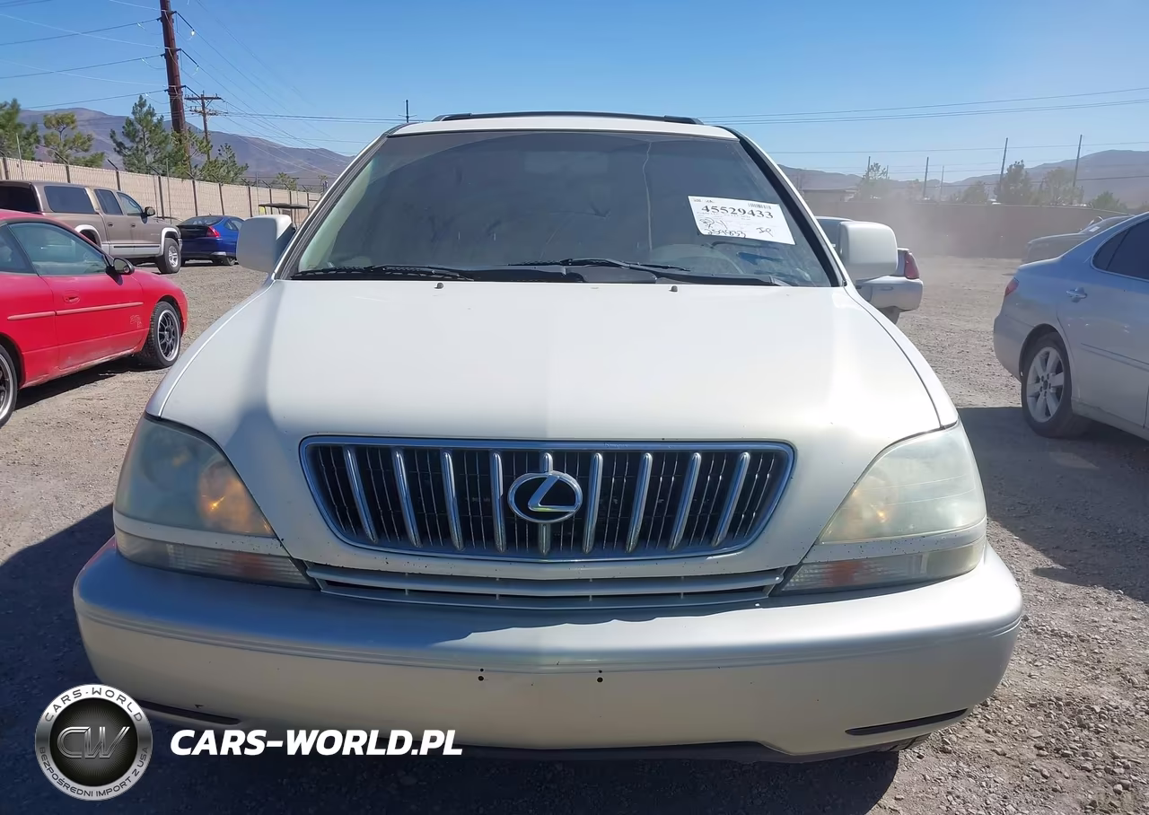 2002 Lexus Rx 300 VIN:JTJHF10U920256034 - 6