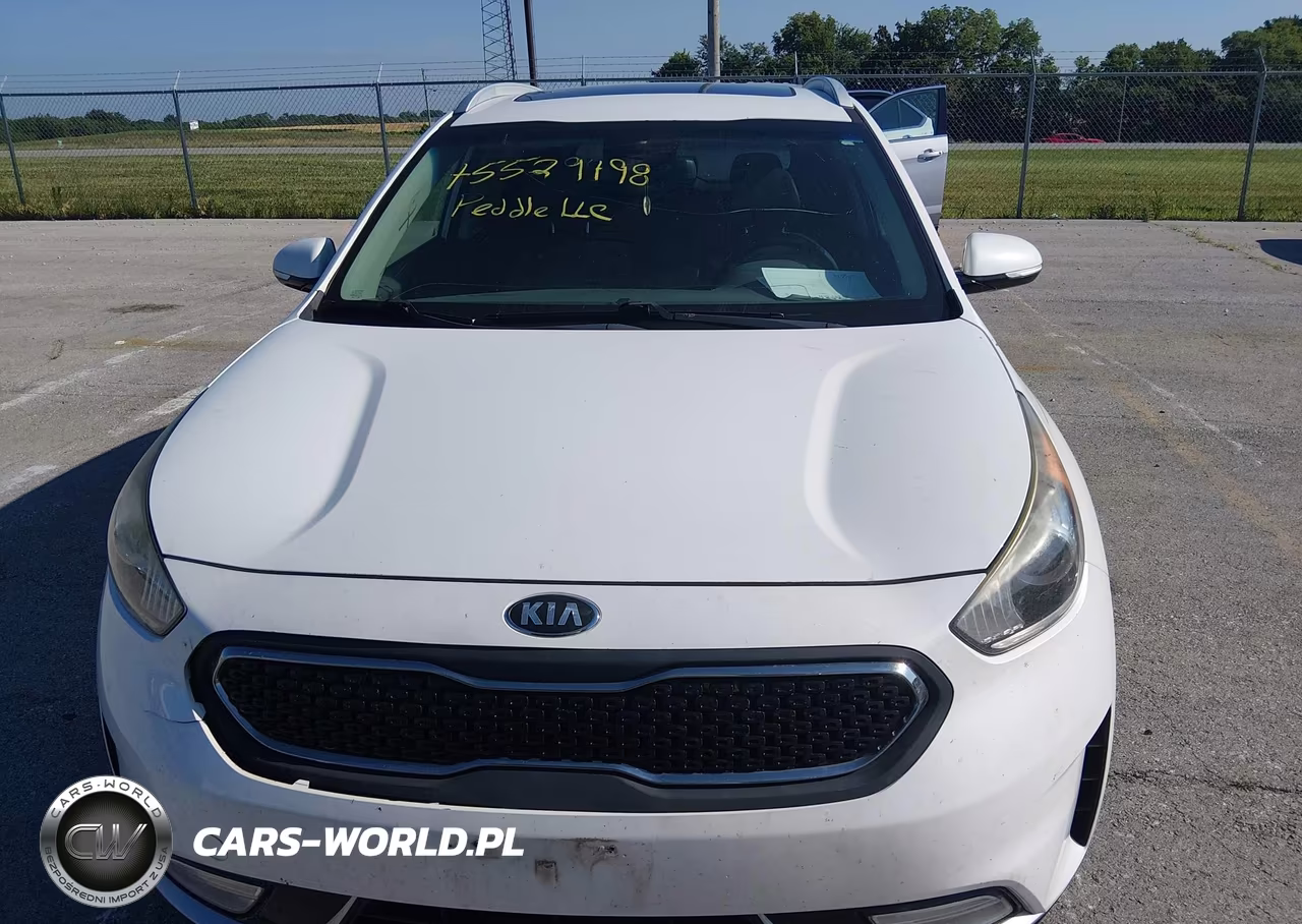 2017 Kia Niro Ex VIN:KNDCC3LC7H5054020 - 12