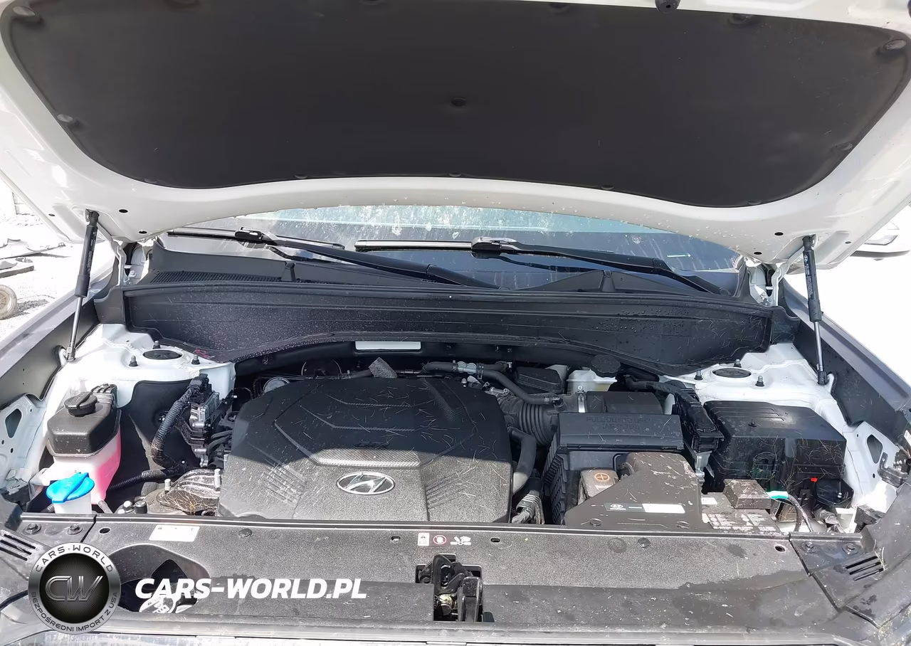 2023 Hyundai Palisade Sel VIN:KM8R4DGE3PU597275 - 10