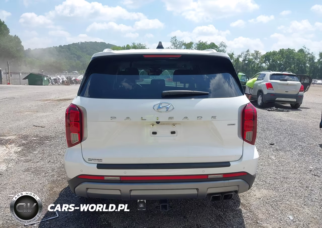 2023 Hyundai Palisade Sel VIN:KM8R4DGE3PU597275 - 17
