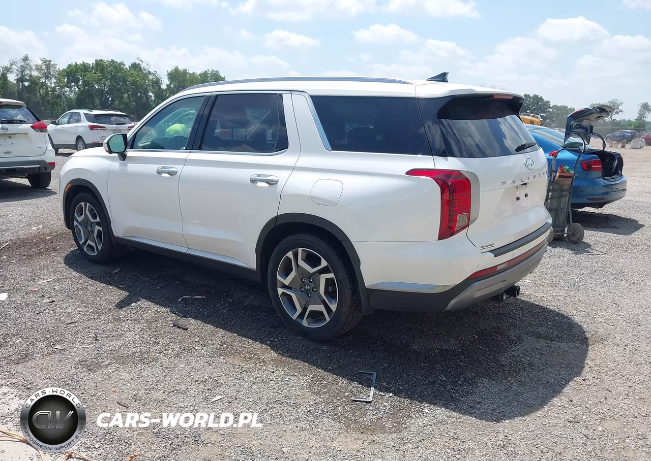 2023 Hyundai Palisade Sel VIN:KM8R4DGE3PU597275 - 3