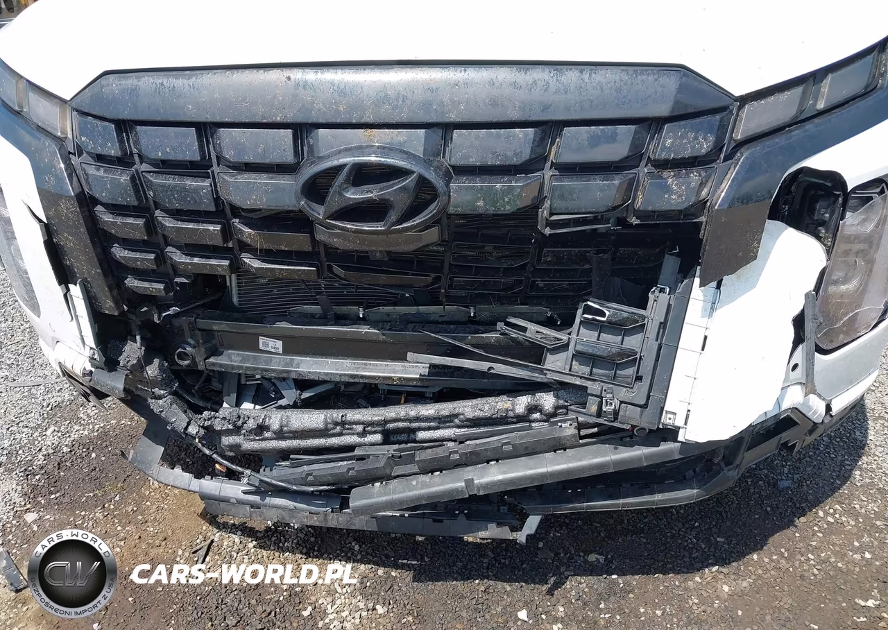 2023 Hyundai Palisade Sel VIN:KM8R4DGE3PU597275 - 6
