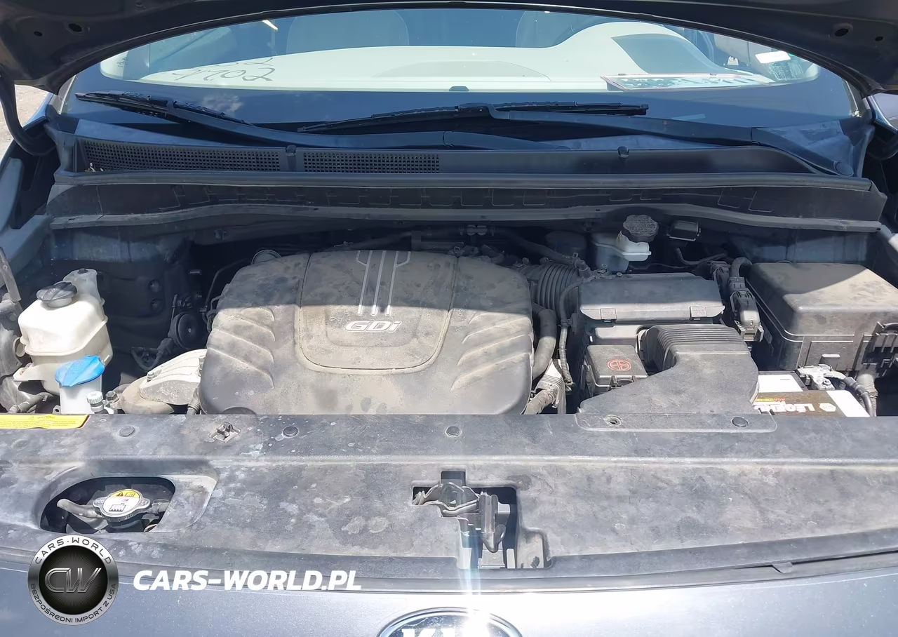 2015 Kia Sedona Sx Luxury VIN:KNDME5C1XF6026244 - 10