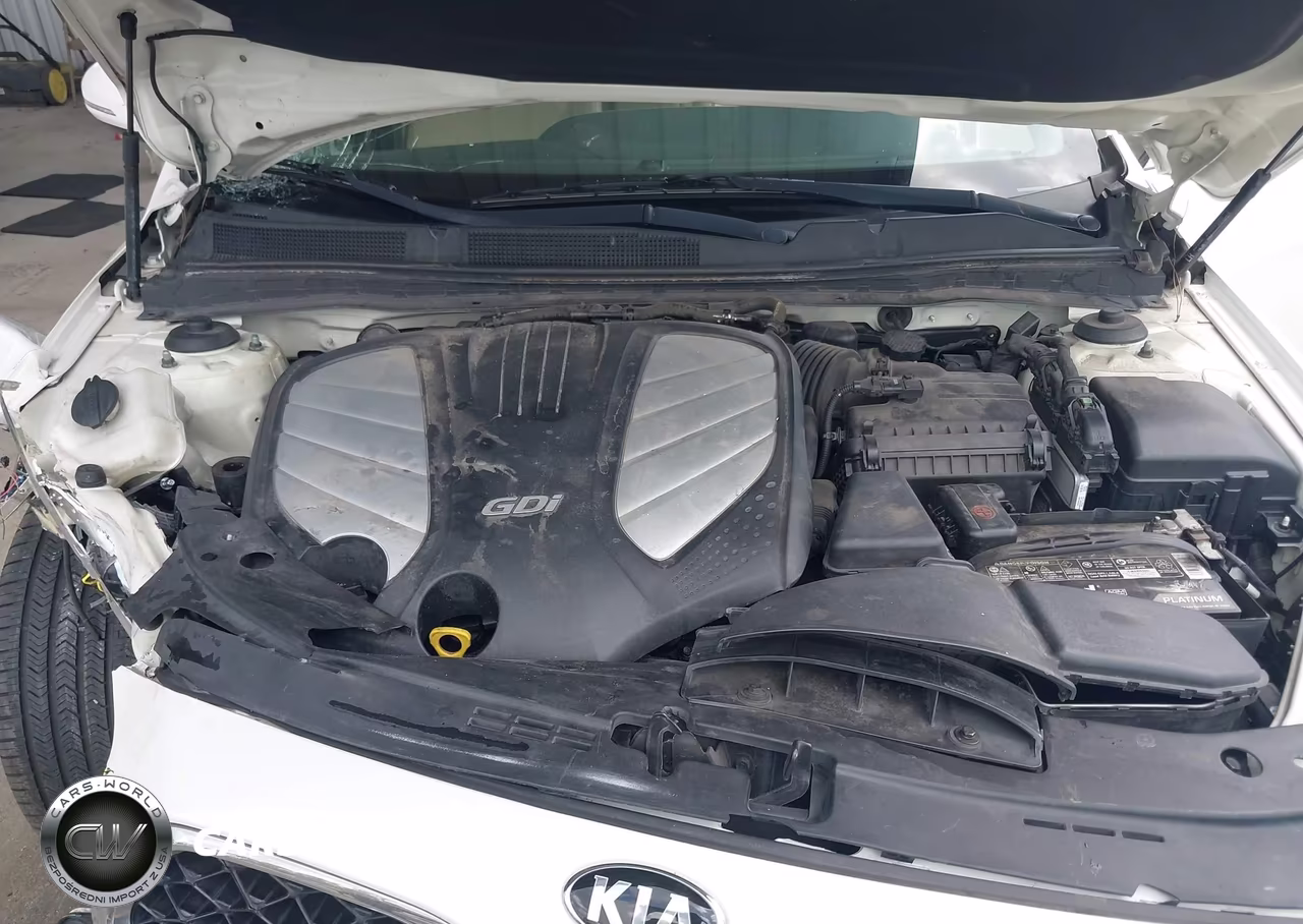 2015 Kia Cadenza Premium VIN:KNALN4D72F5193743 - 10
