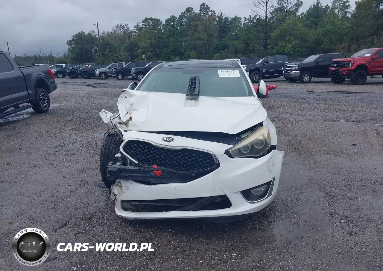 2015 Kia Cadenza Premium VIN:KNALN4D72F5193743 - 12