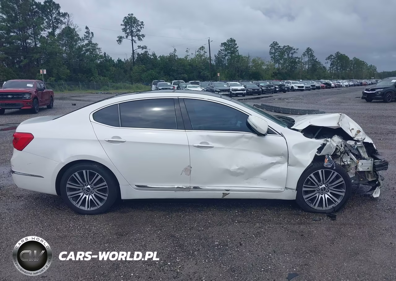 2015 Kia Cadenza Premium VIN:KNALN4D72F5193743 - 13