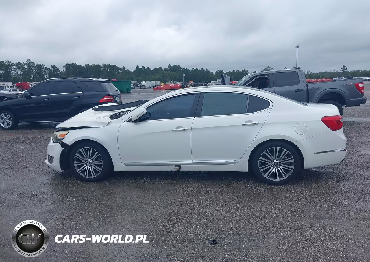 2015 Kia Cadenza Premium VIN:KNALN4D72F5193743 - 14