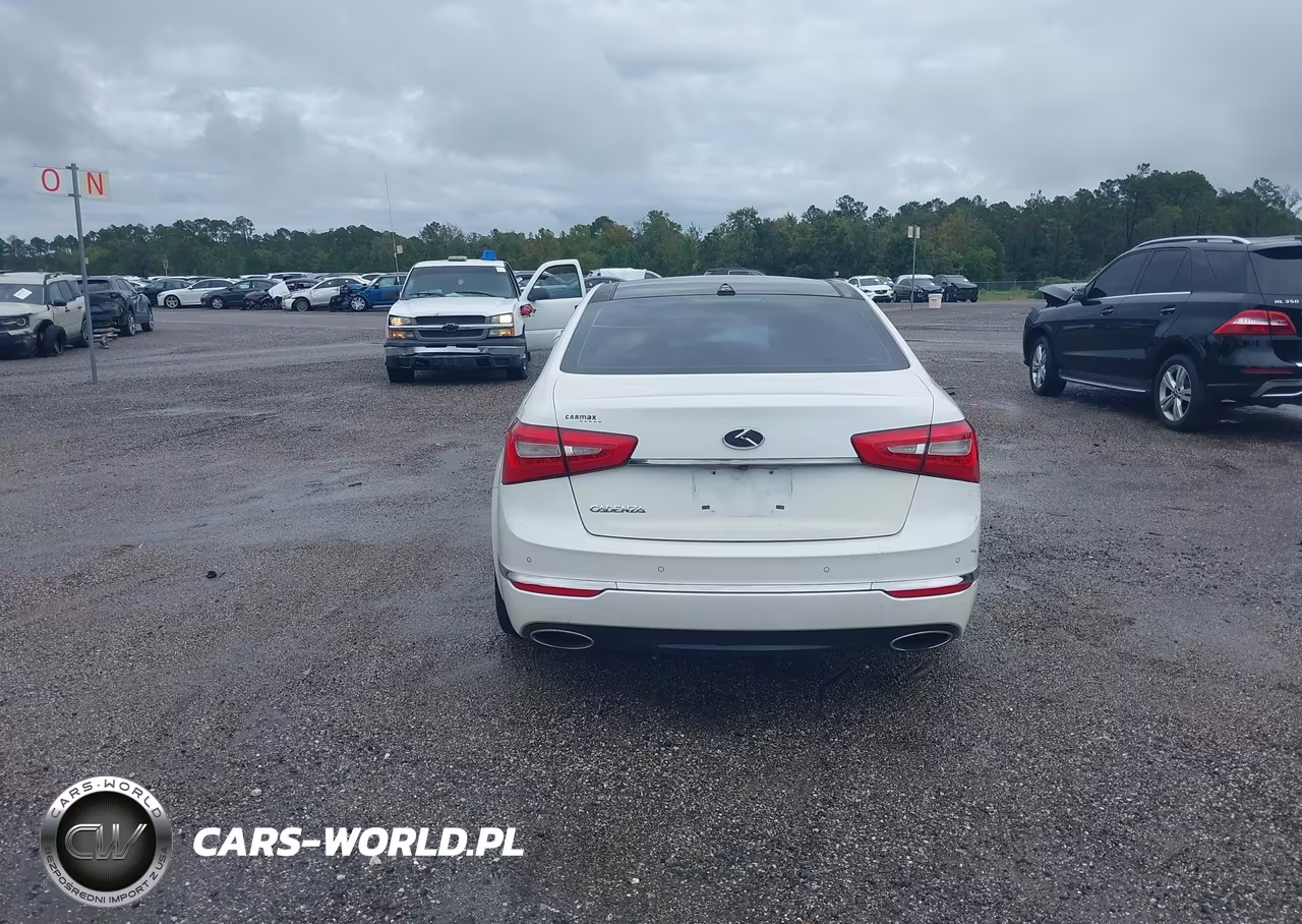 2015 Kia Cadenza Premium VIN:KNALN4D72F5193743 - 16