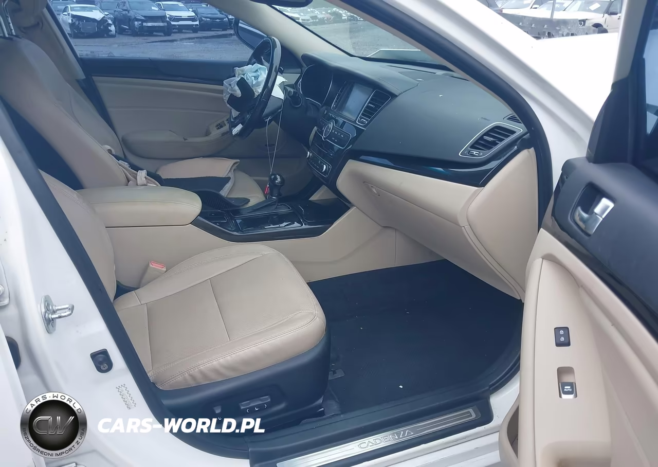 2015 Kia Cadenza Premium VIN:KNALN4D72F5193743 - 5