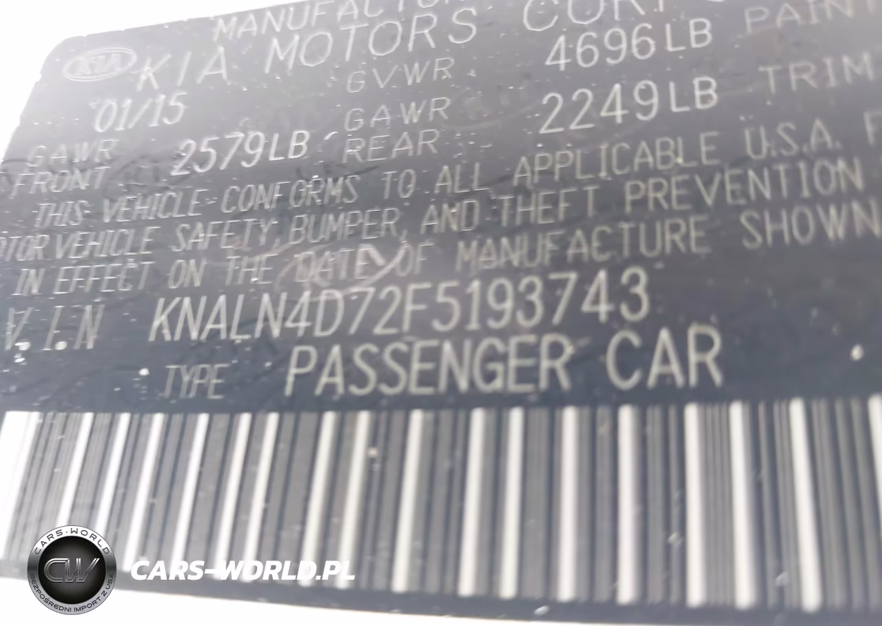 2015 Kia Cadenza Premium VIN:KNALN4D72F5193743 - 9