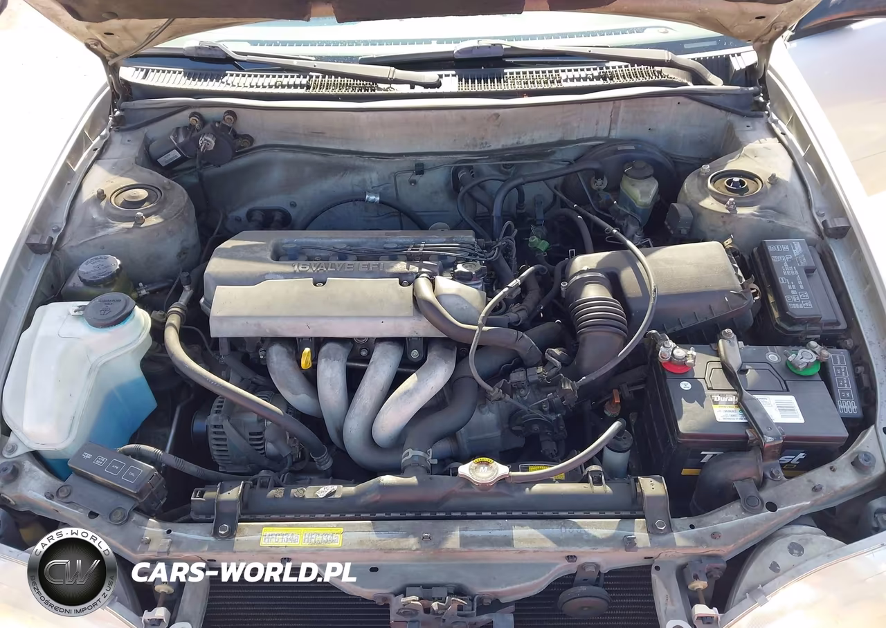 1999 Toyota Corolla Ve VIN:1NXBR12EXXZ216725 - 10