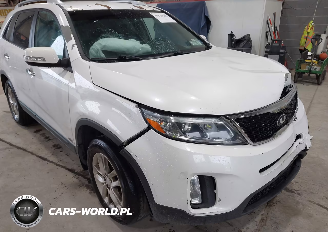 2014 Kia Sorento Lx VIN:5XYKTCA66EG545013 - 14