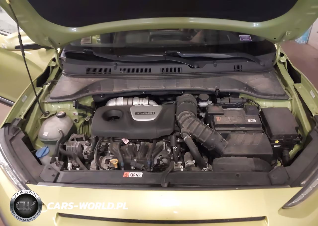 2019 Hyundai Kona Ultimate VIN:KM8K5CA58KU373770 - 10