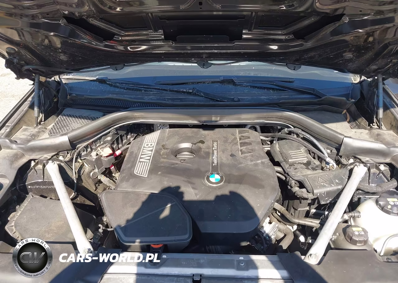 2019 BMW X3 Sdrive30I VIN:5UXTR7C52KLF24109 - 10