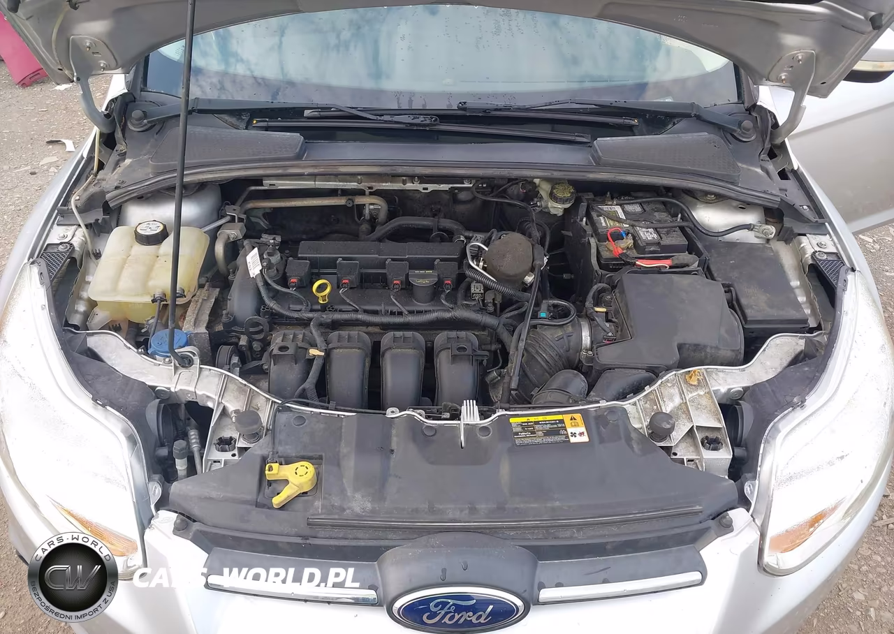 2014 Ford Focus Se VIN:1FADP3F24EL157386 - 10