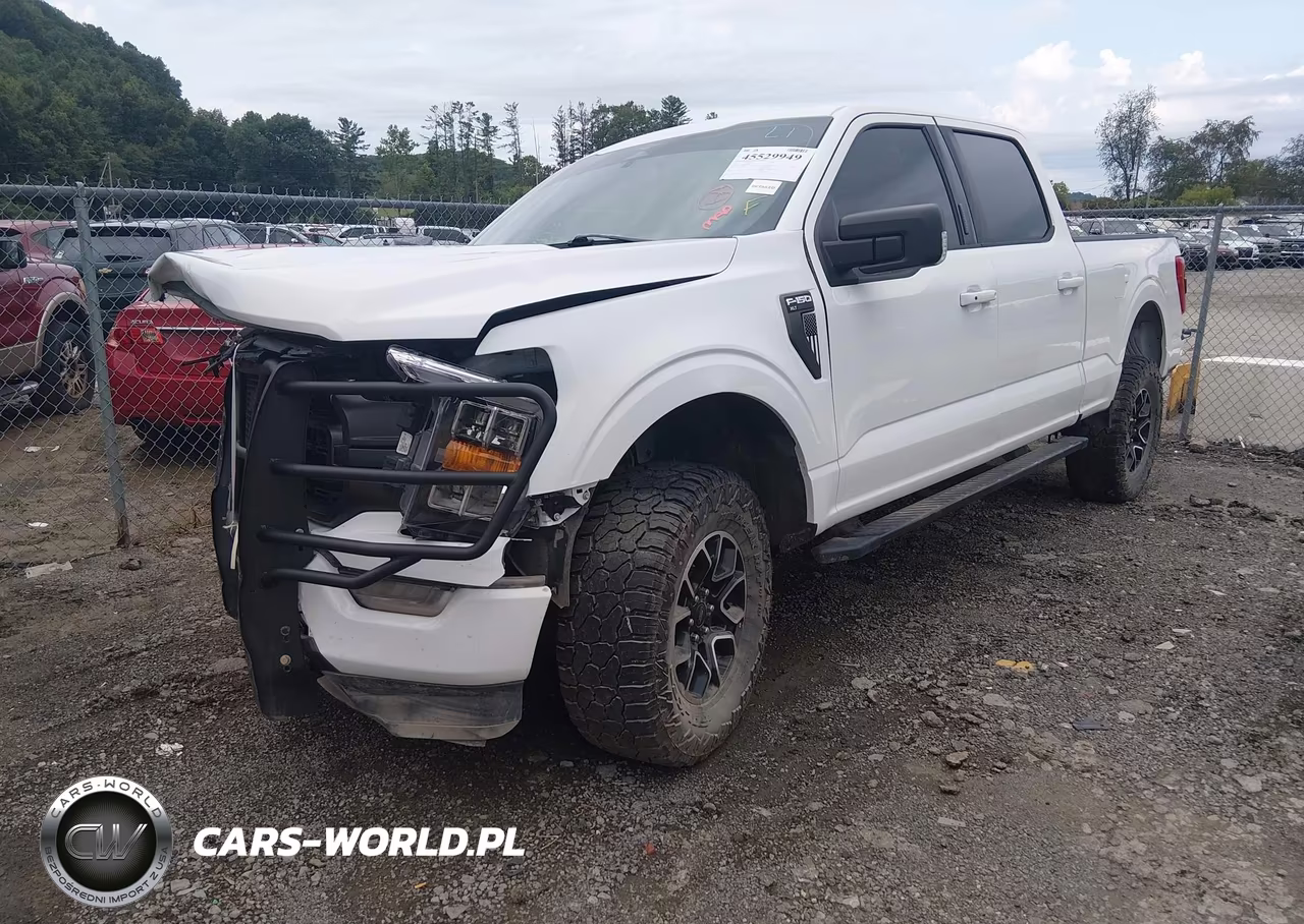 2023 Ford F-150 Xlt VIN:1FTFW1E86PFA54178 - 2