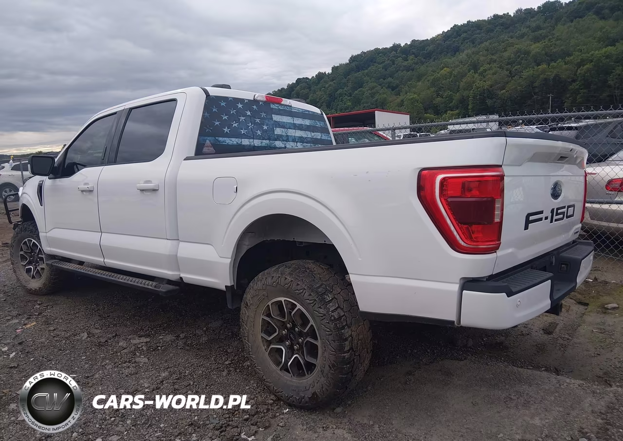 2023 Ford F-150 Xlt VIN:1FTFW1E86PFA54178 - 3