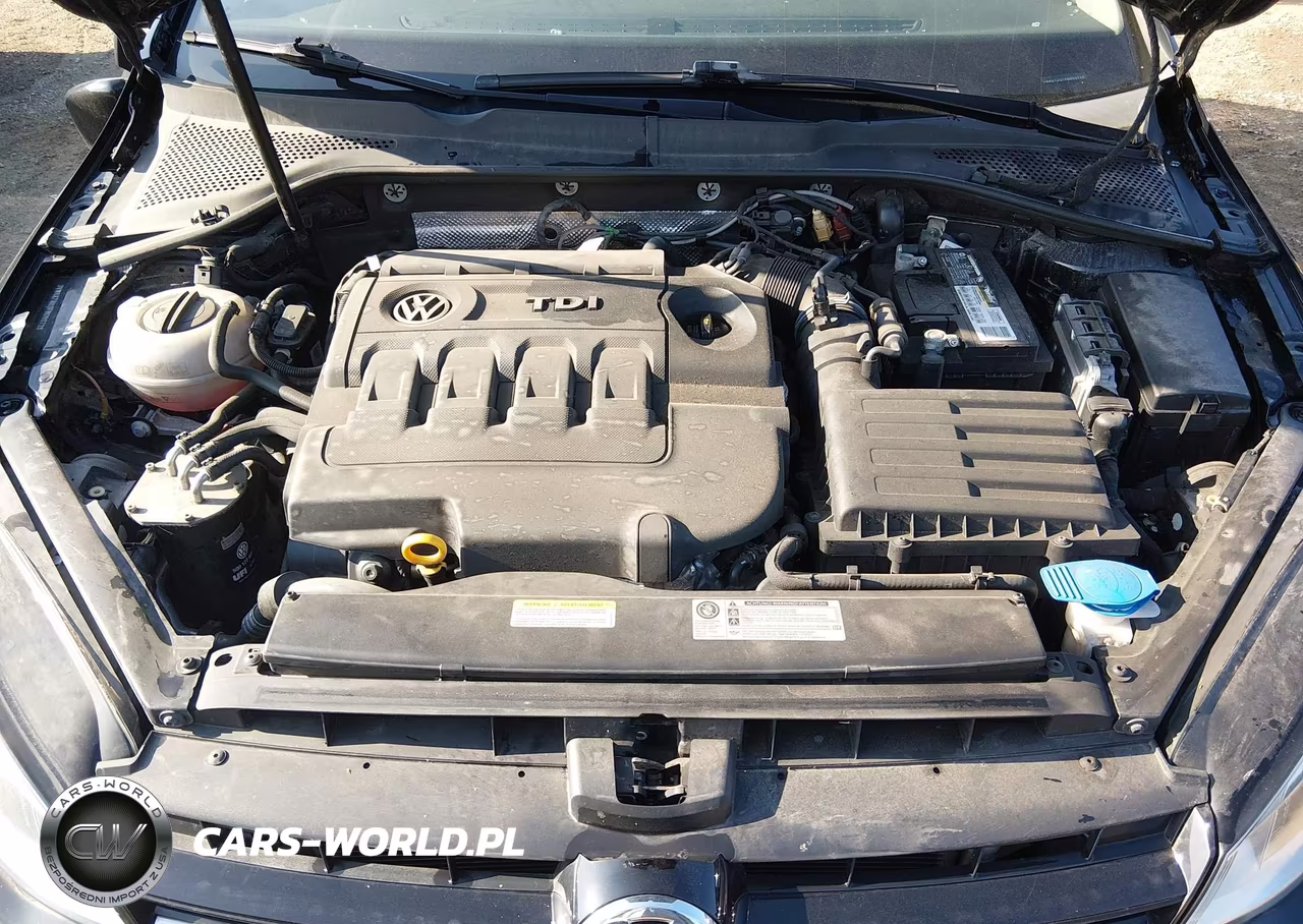 2015 Volkswagen Golf Tdi S 4-Door VIN:3VWRA7AU1FM090728 - 10