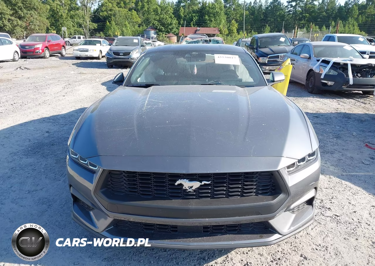2024 Ford Mustang Ecoboost Fastback VIN:1FA6P8TH5R5135812 - 12