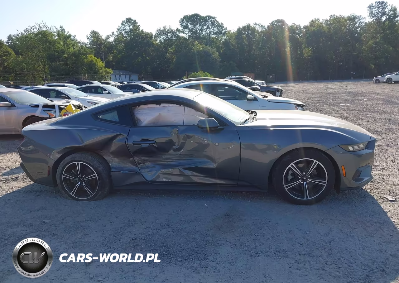2024 Ford Mustang Ecoboost Fastback VIN:1FA6P8TH5R5135812 - 13